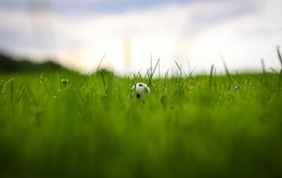 وولفرهامبتون ضد مان سيتي اليوممواجهة مثيرة في الدوري الإنجليزي